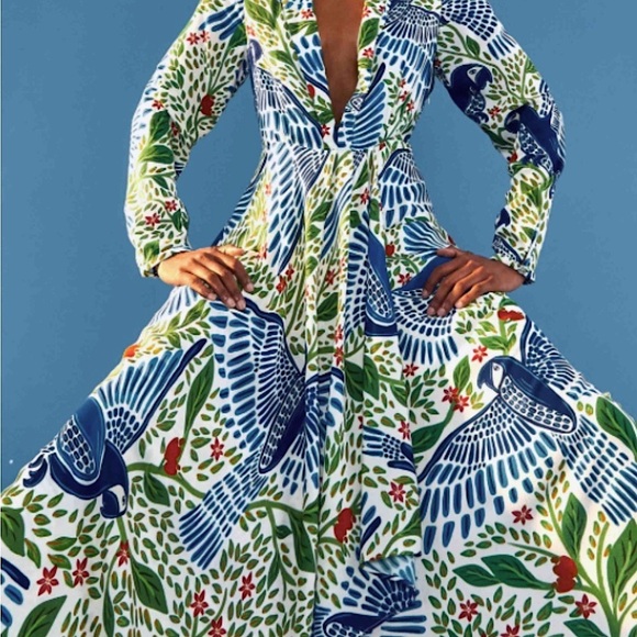 FARM Rio Dresses & Skirts - FARM Rio Blue, Green & White Bird-Print Maxi Dress